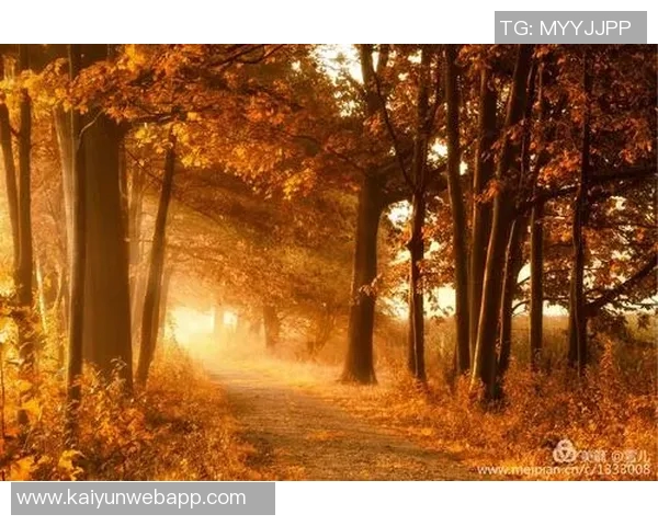 《绿茵传奇：从草根少年到世界足球之巅的辉煌征程》